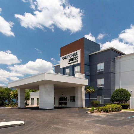 Springhill Suites By Marriott Baton Rouge South Ngoại thất bức ảnh